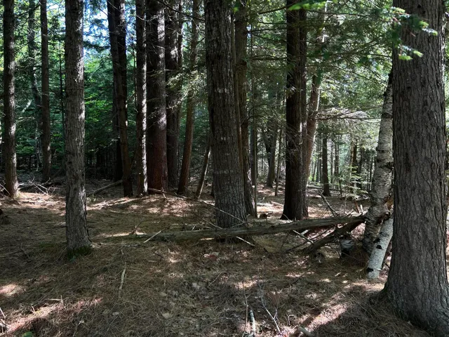 $329,000 | M12-lot29 Monroe Highway, Brooks, ME 04921