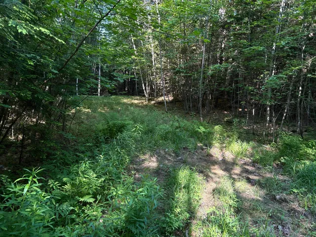 $329,000 | M12-lot29 Monroe Highway, Brooks, ME 04921