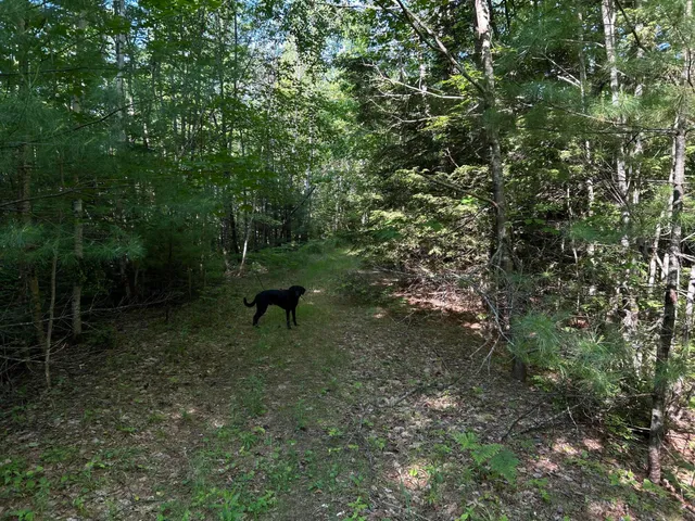 $329,000 | M12-lot29 Monroe Highway, Brooks, ME 04921