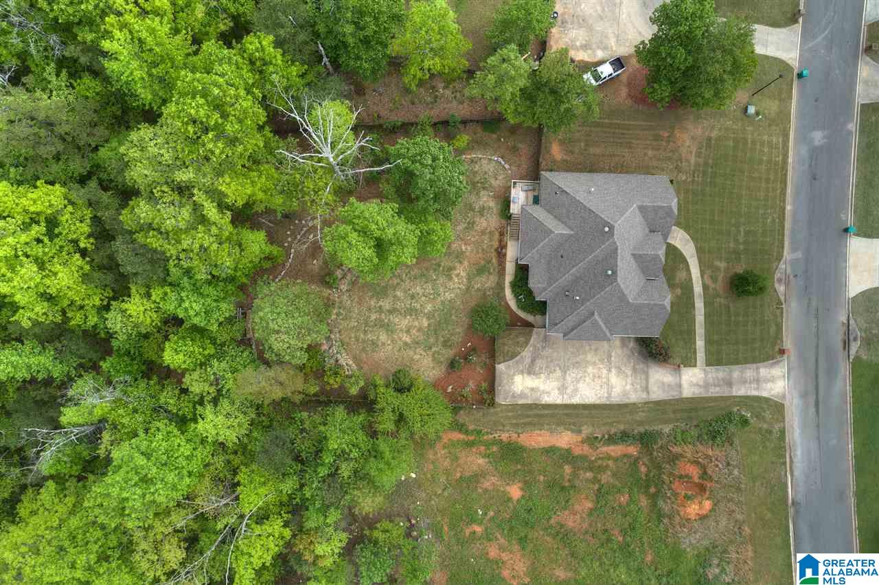 452 Ronny Lane Springville, AL 35146 - Photo 8 of 42