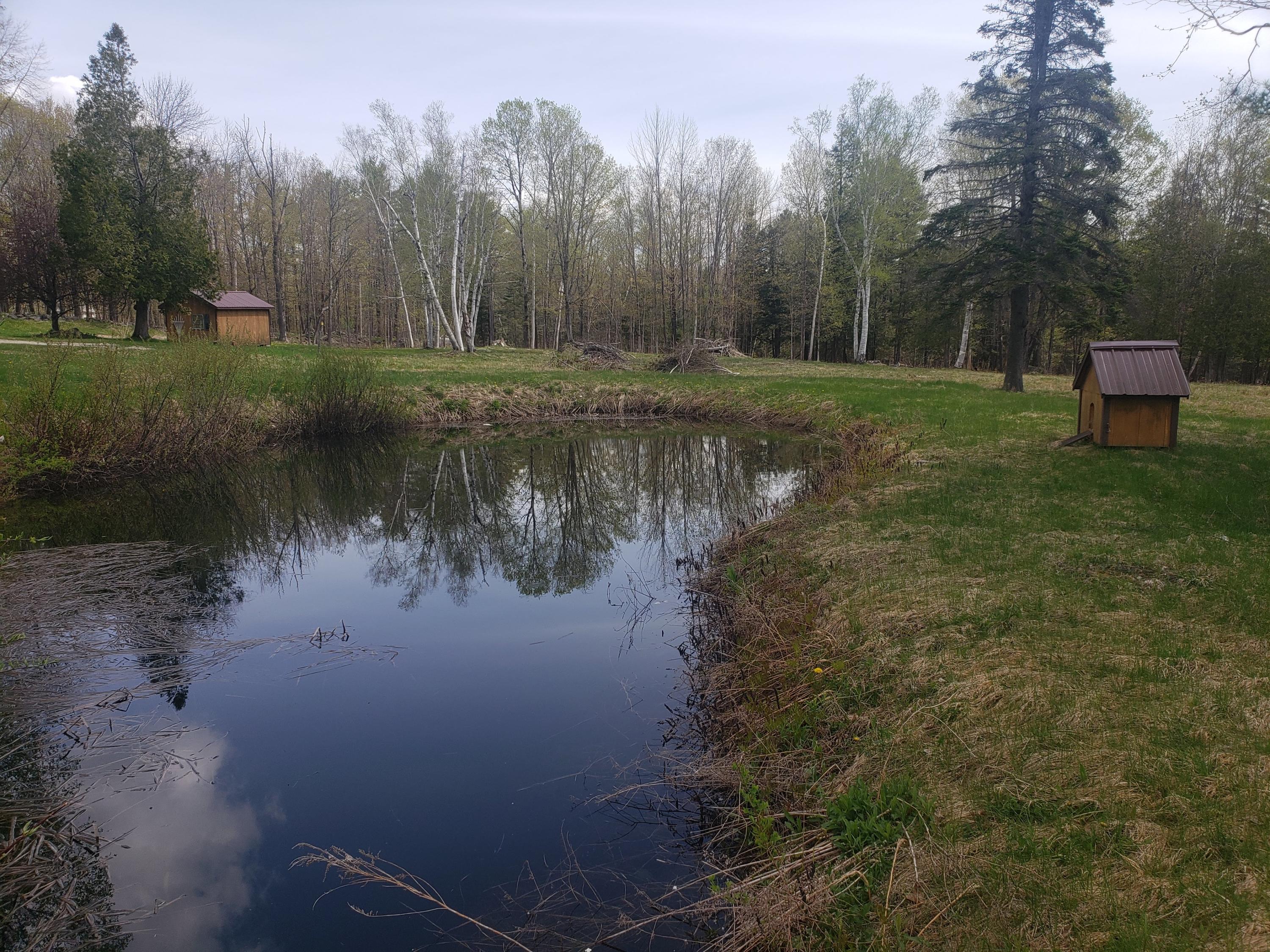 253 Knowlton Corner Road Farmington, ME 04938 - Photo 41 of 62 20200517_101039