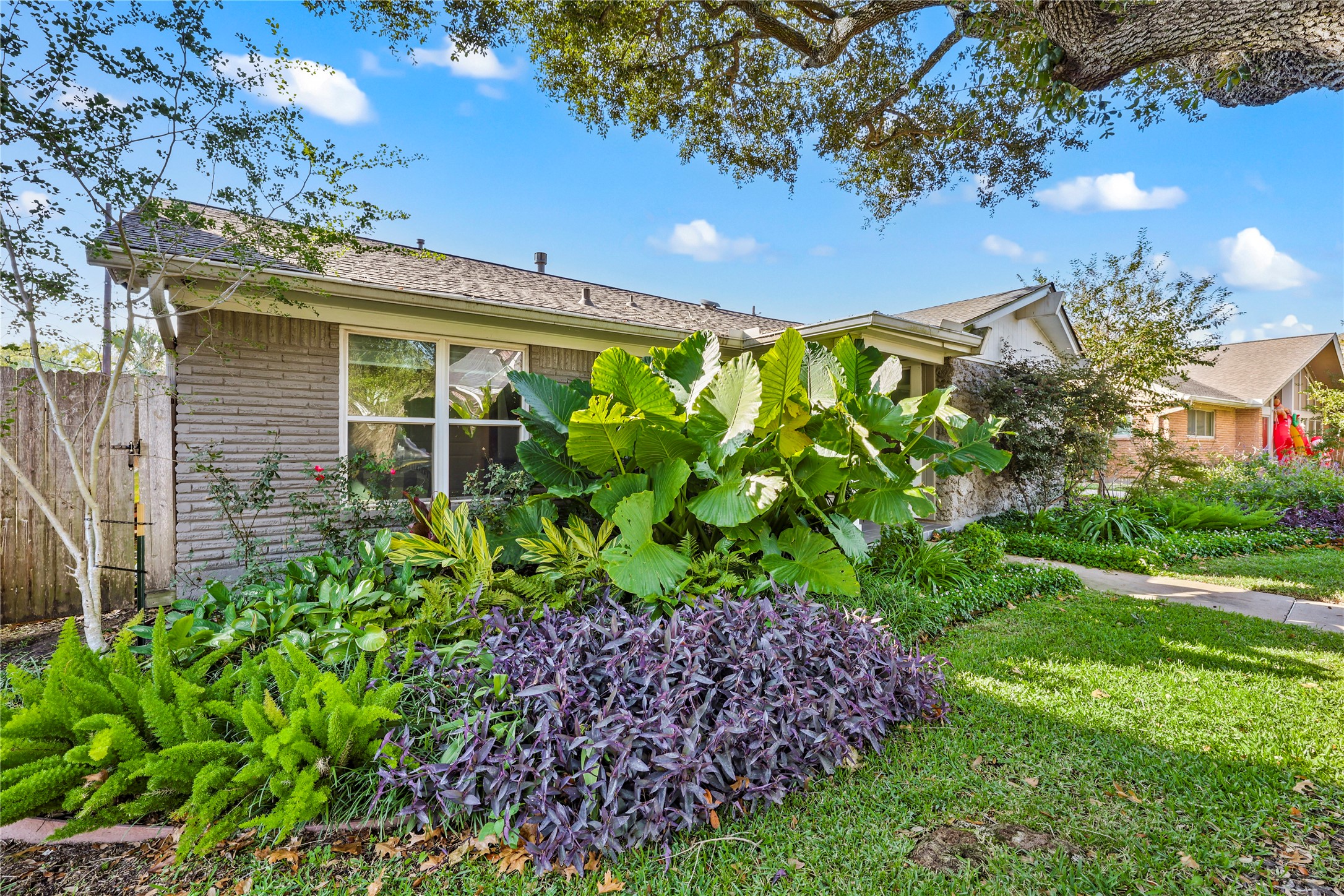 8422 Academy Street Houston, TX 77025 - Photo 41 of 47 a view of a garden with plants