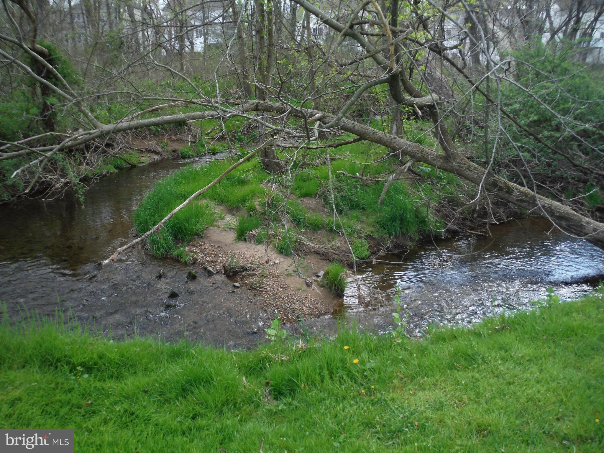 105 Douglass Court Rising Sun, MD 21911 - Photo 6 of 35 Creek in Back