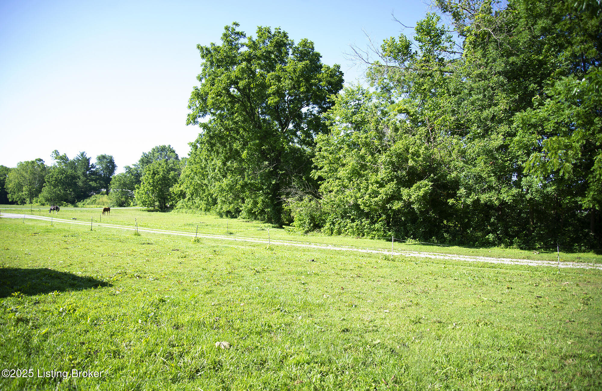 1375 Carpenter Road Flemingsburg, KY 41041 - Photo 60 of 61 DSC_9700