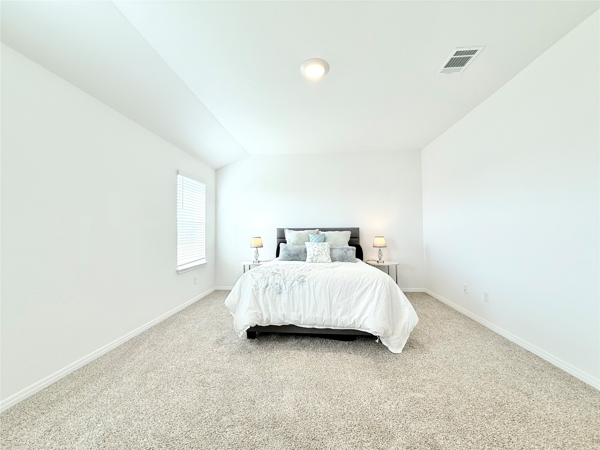 598 Gladiola Loop Kyle, TX 78640 - Photo 20 of 33 Bedroom with light colored carpet and vaulted ceiling