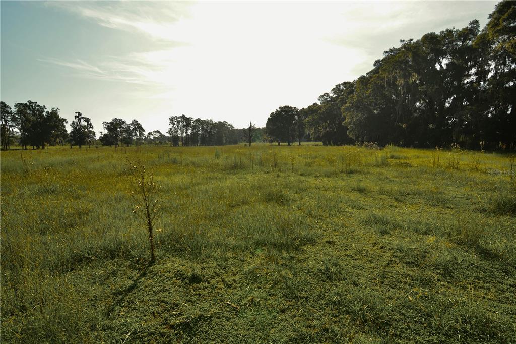 4802 Northwest 50th Road Starke, FL 32091 - Photo 63 of 75 Gallery Image 63
