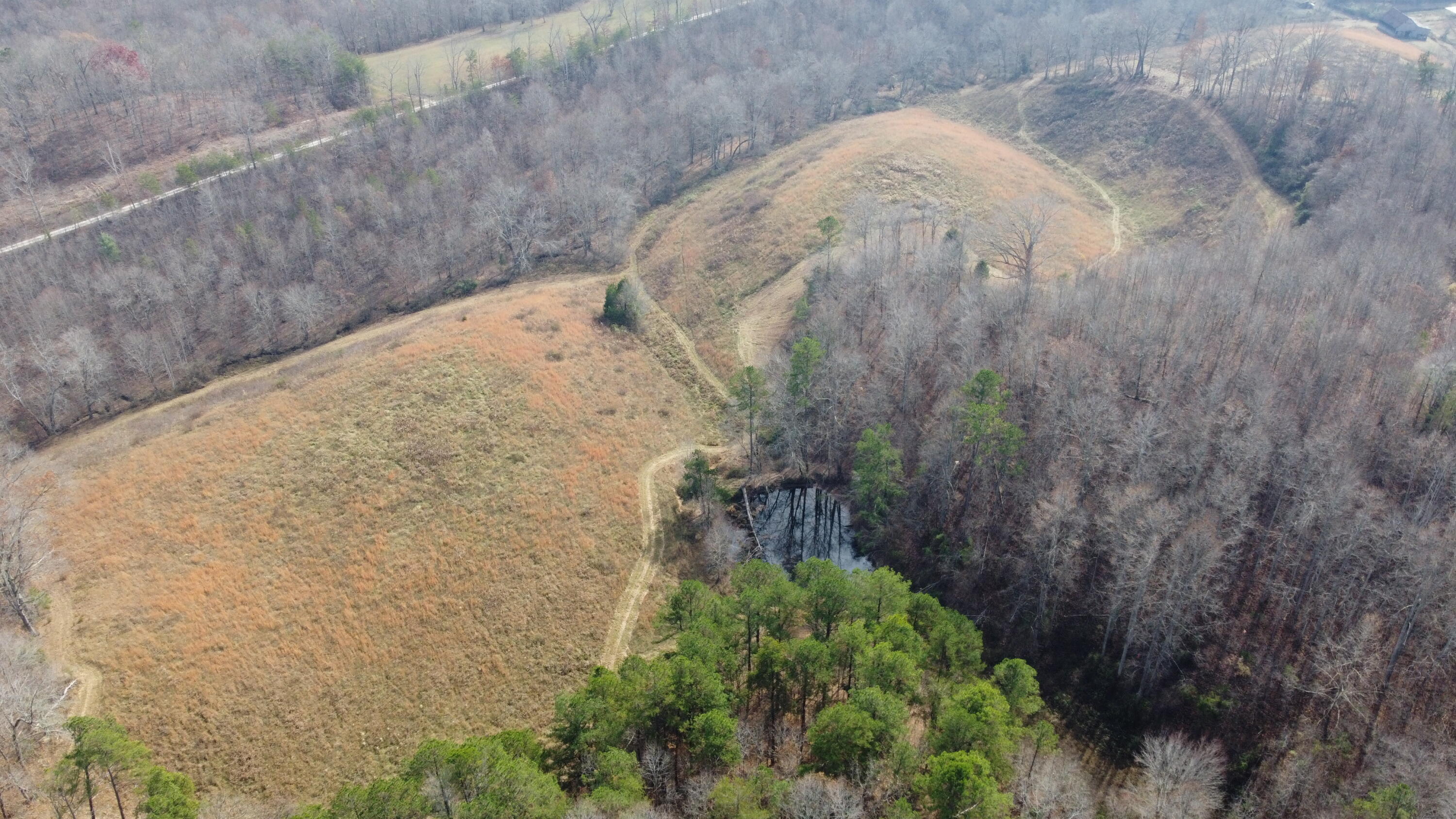 9999 Langdon Branch Road Annville, KY 40402 - Photo 7 of 13 DJI_0047