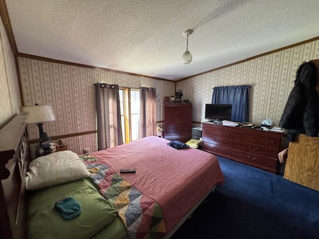 27810 Maystead Road Sturgis, MI 49091 - Photo 13 of 24 BEDROOM