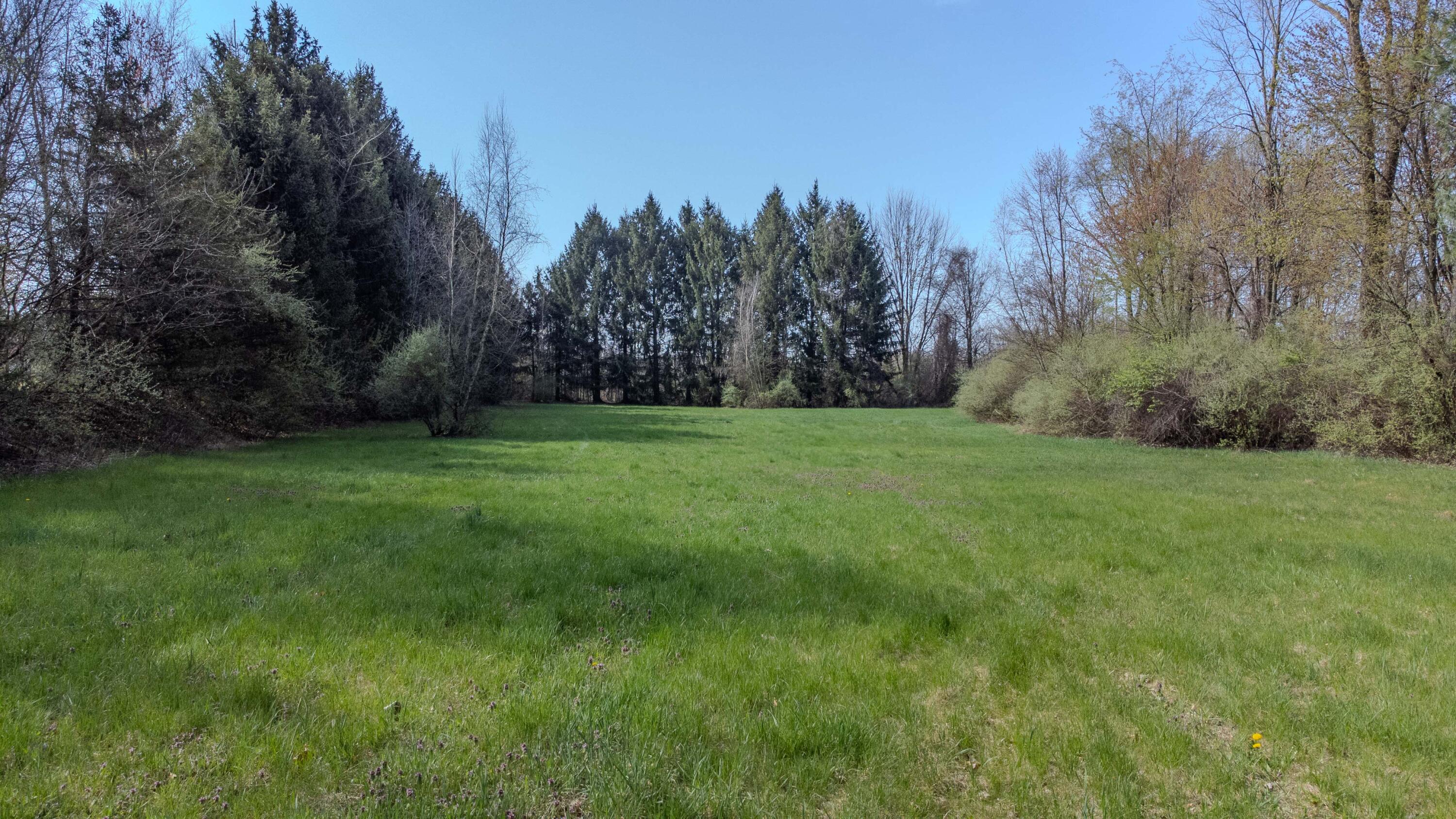 27810 Maystead Road Sturgis, MI 49091 - Photo 15 of 24 a-14