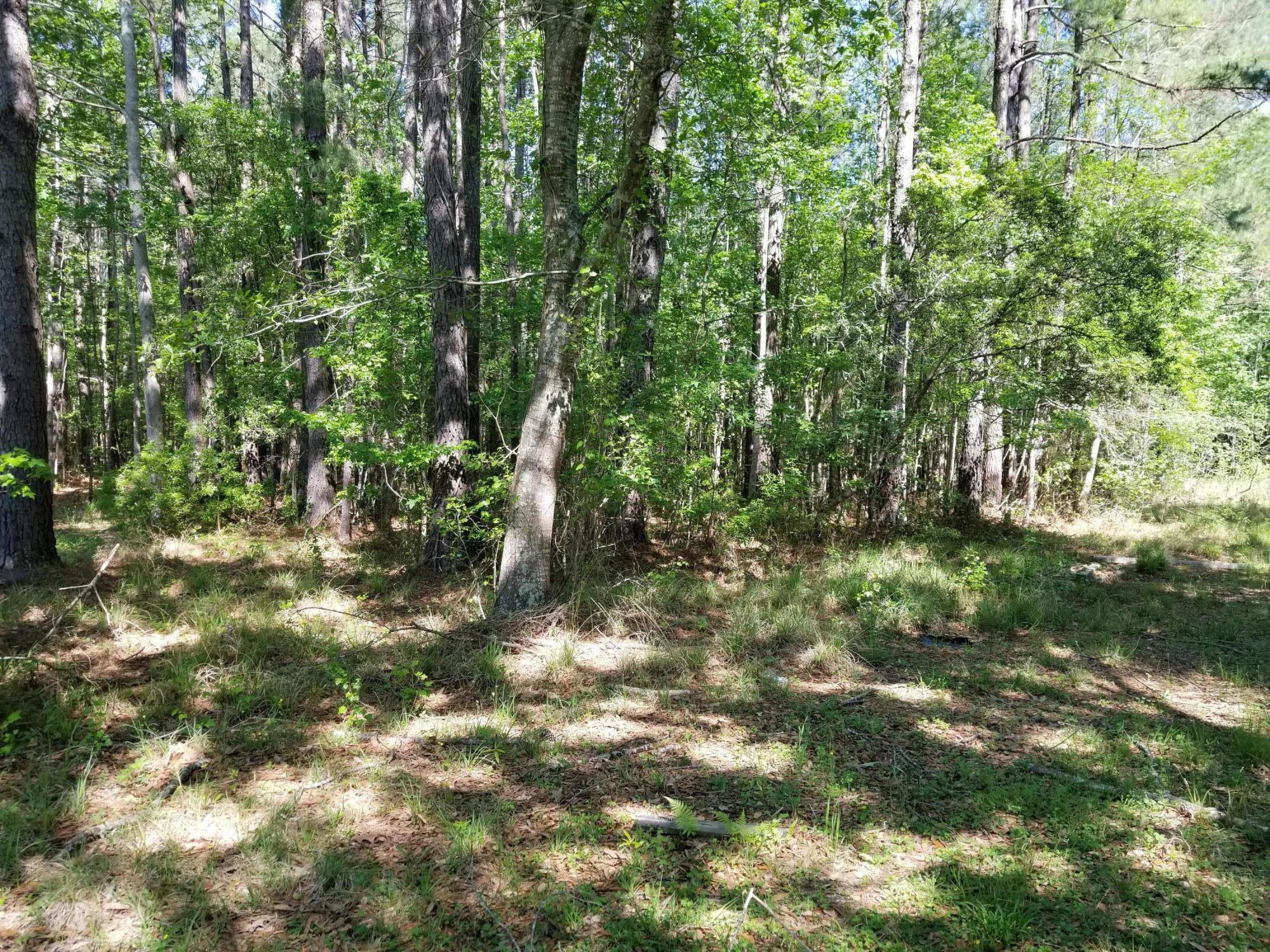 2032 Highway 61 Ridgeville, SC 29472 - Photo 1 of 8 20200409_110126