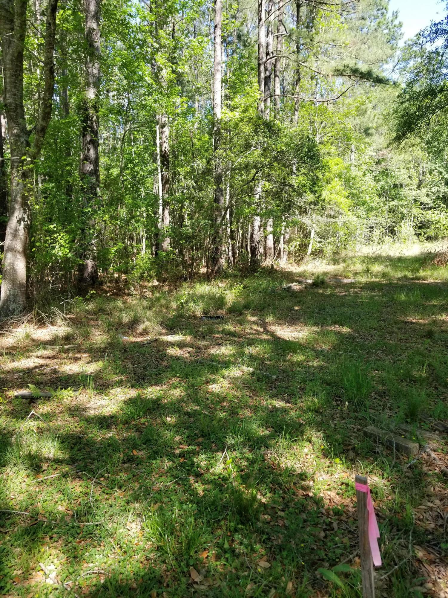 2032 Highway 61 Ridgeville, SC 29472 - Photo 4 of 8 20200409_110121