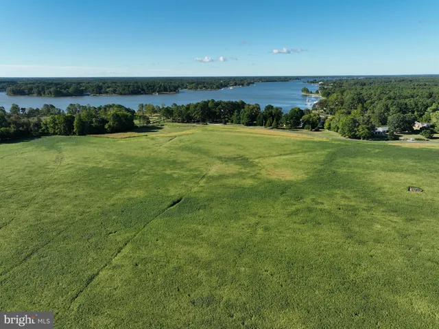 a view of a field with an ocean