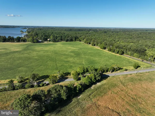 a view of a field with an ocean