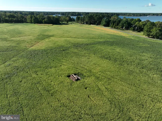 a view of a field with an trees in the background