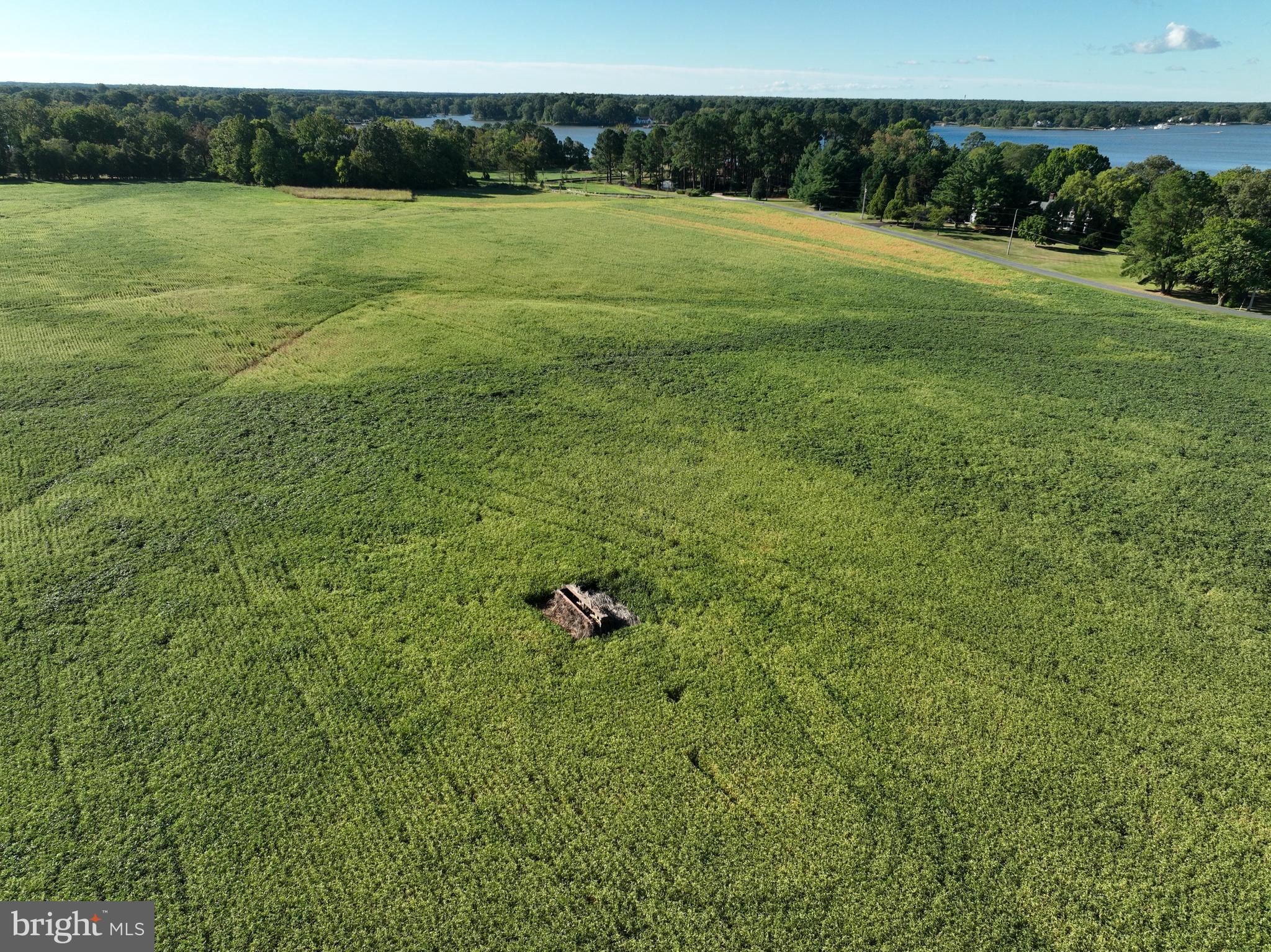 Unionville Road Easton, MD 21601 - Photo 6 of 6 a view of a field with an trees in the background
