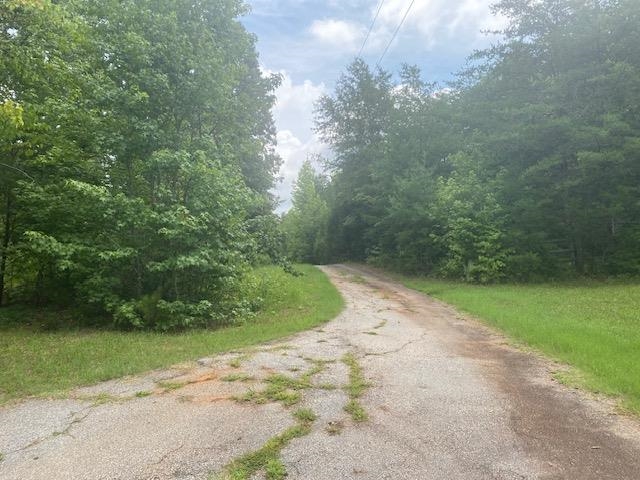 238 Jones Road Enoree, SC 29335 - Photo 2 of 20