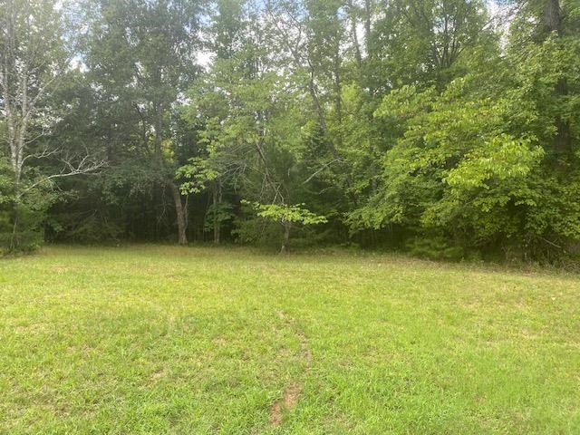 238 Jones Road Enoree, SC 29335 - Photo 3 of 20