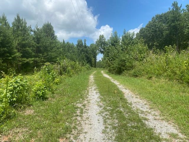 238 Jones Road Enoree, SC 29335 - Photo 8 of 20