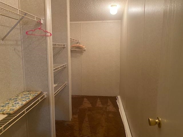 238 Jones Road Enoree, SC 29335 - Photo 10 of 20