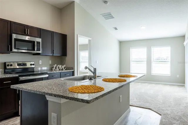 $384,000 | 12951 Twin Bridges Drive, Riverview, FL 33579