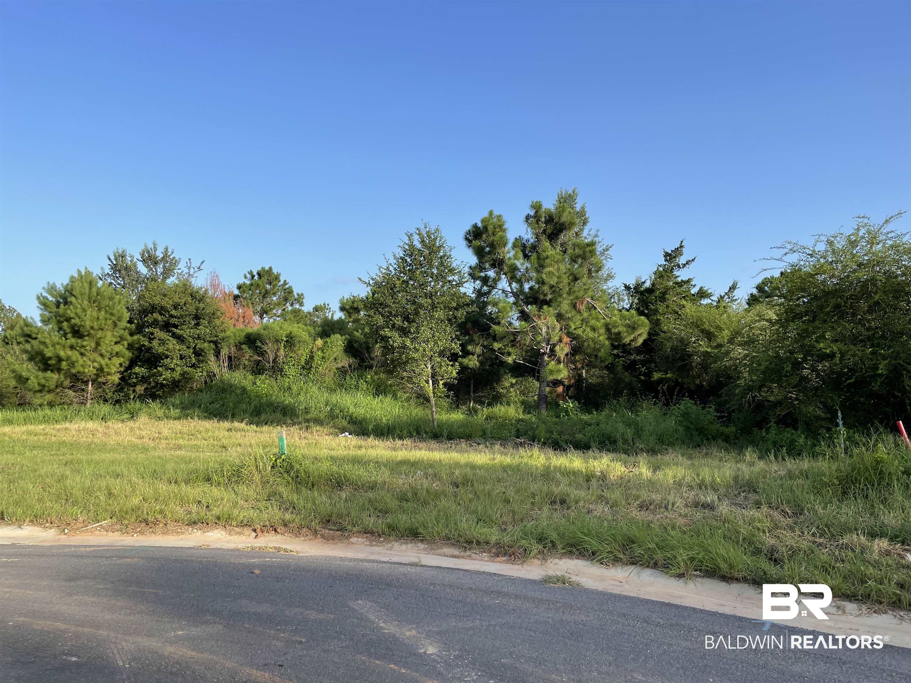 0 Makaira Drive Foley, AL 36535 - Photo 6 of 33