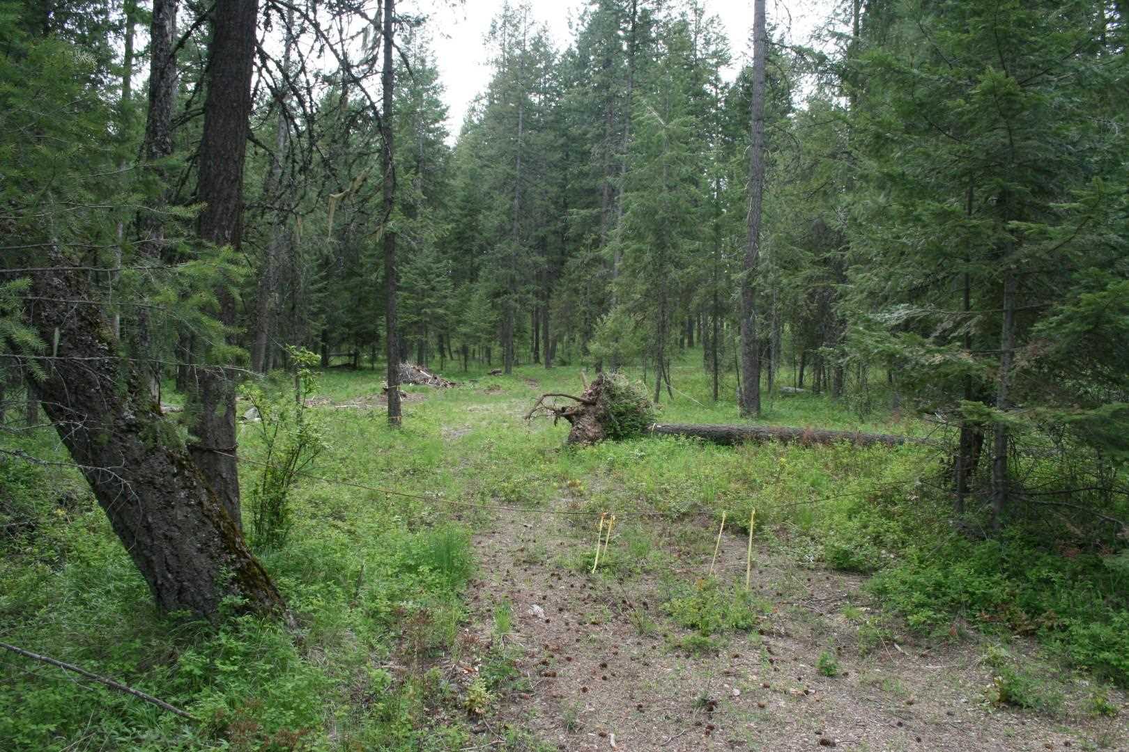 Xx North Division Road Deer Park, WA 99006 - Photo 1 of 10 Gallery Image 1