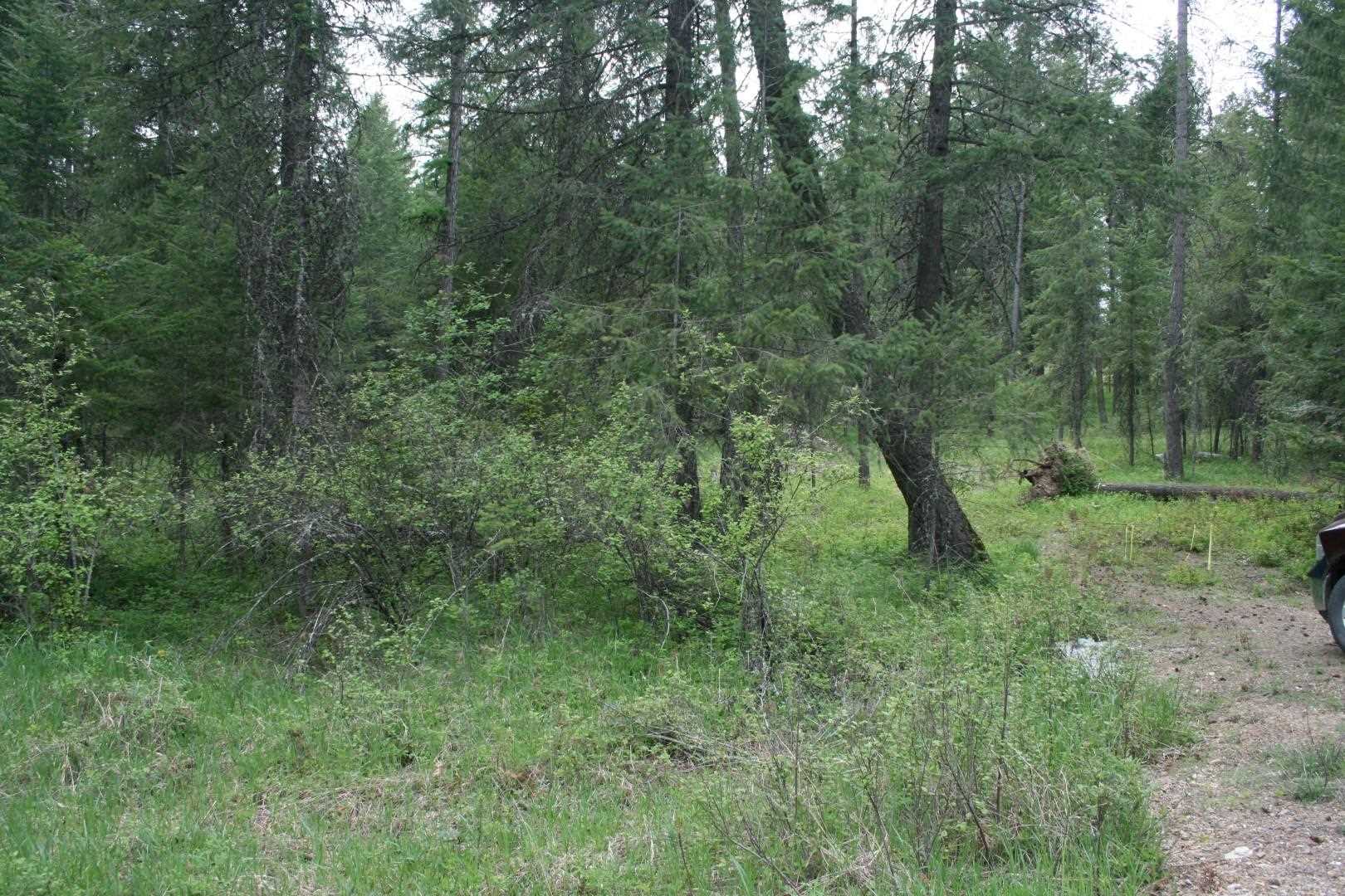 Xx North Division Road Deer Park, WA 99006 - Photo 3 of 10 Gallery Image 3