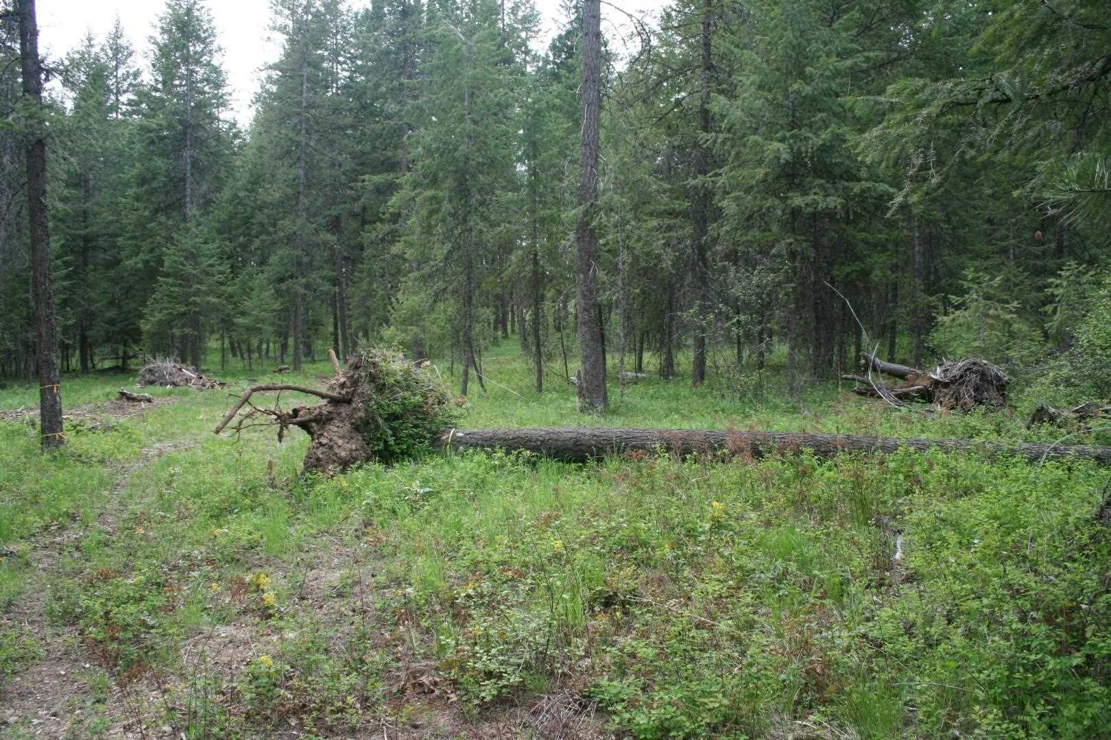 Xx North Division Road Deer Park, WA 99006 - Photo 5 of 10 Gallery Image 5