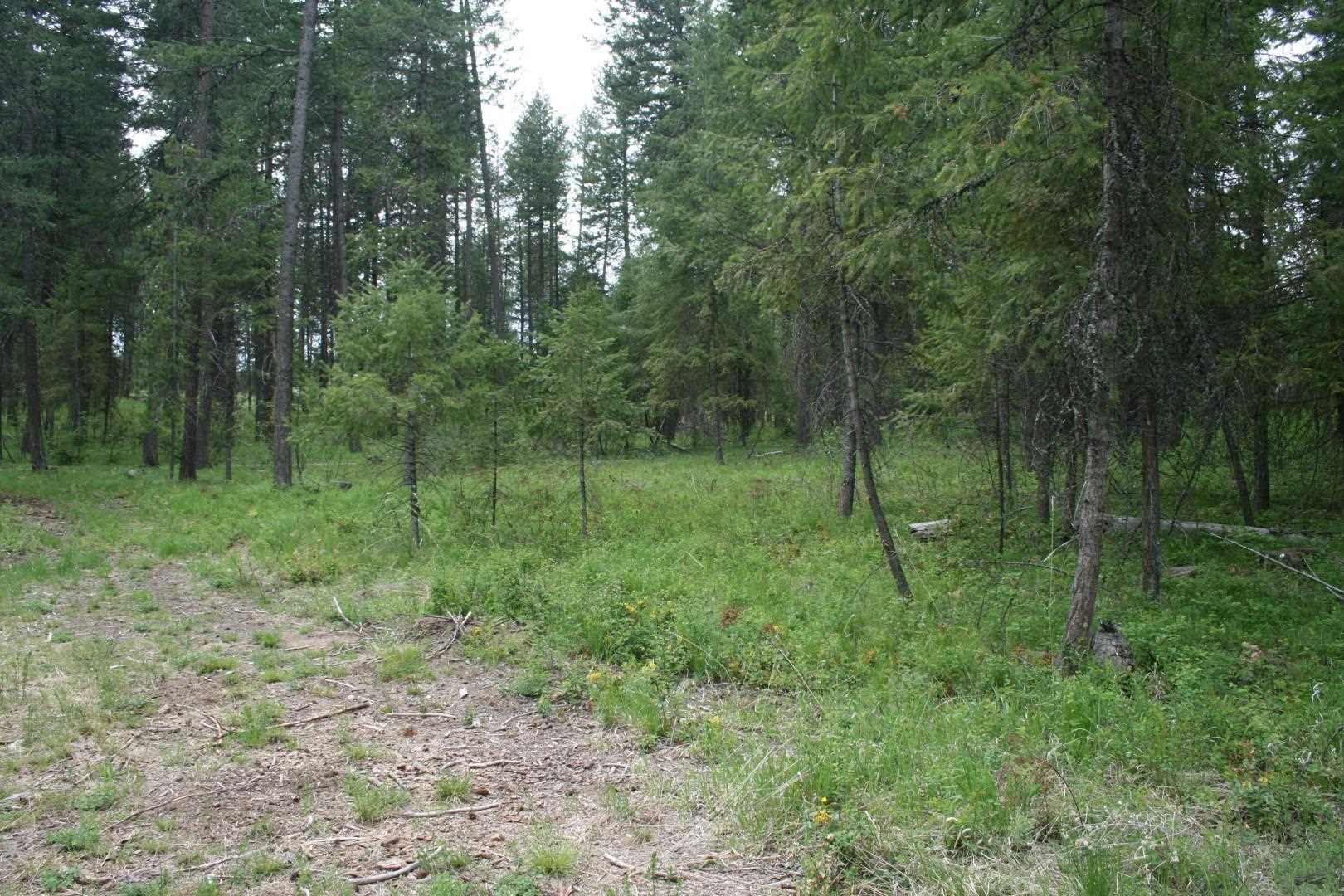 Xx North Division Road Deer Park, WA 99006 - Photo 6 of 10 Gallery Image 6