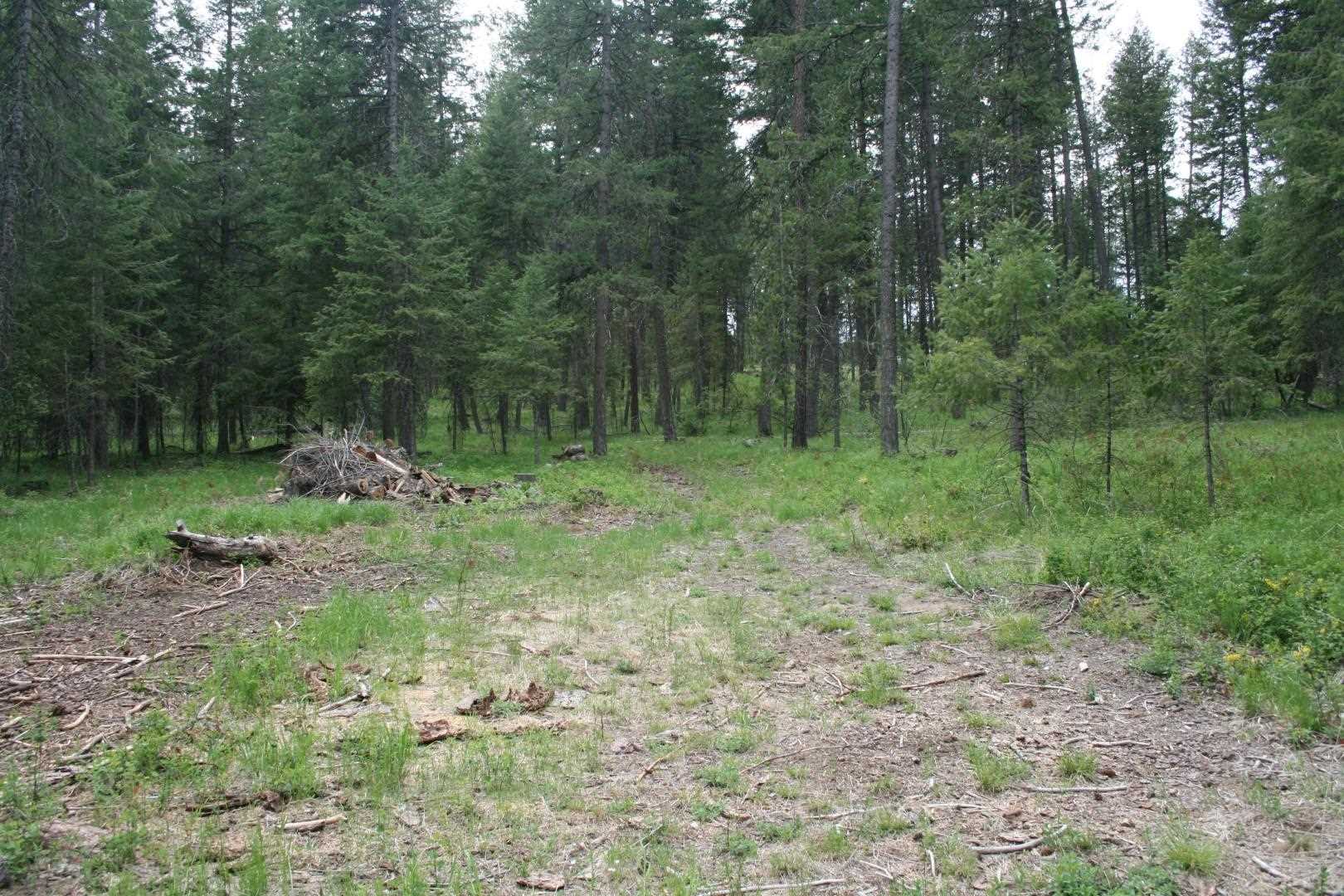 Xx North Division Road Deer Park, WA 99006 - Photo 7 of 10 Gallery Image 7