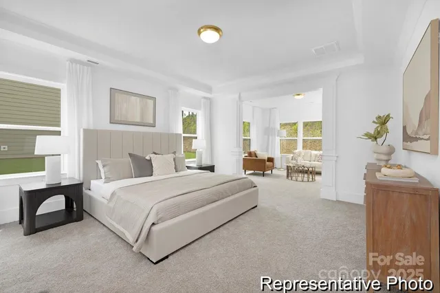 a bed room with a bed and a couch