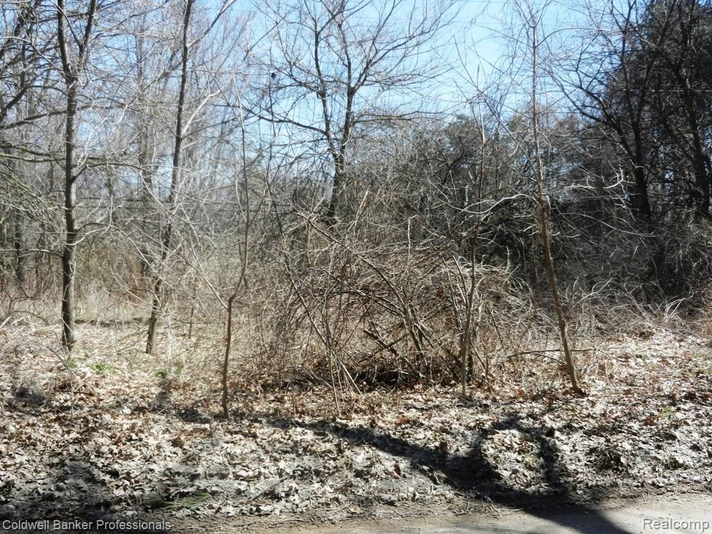 Parcel D Parcel D Allen Clarkston, MI 48348 - Photo 1 of 1