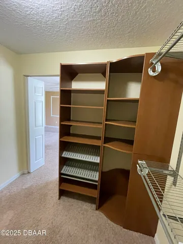a room with walk in closet and rug