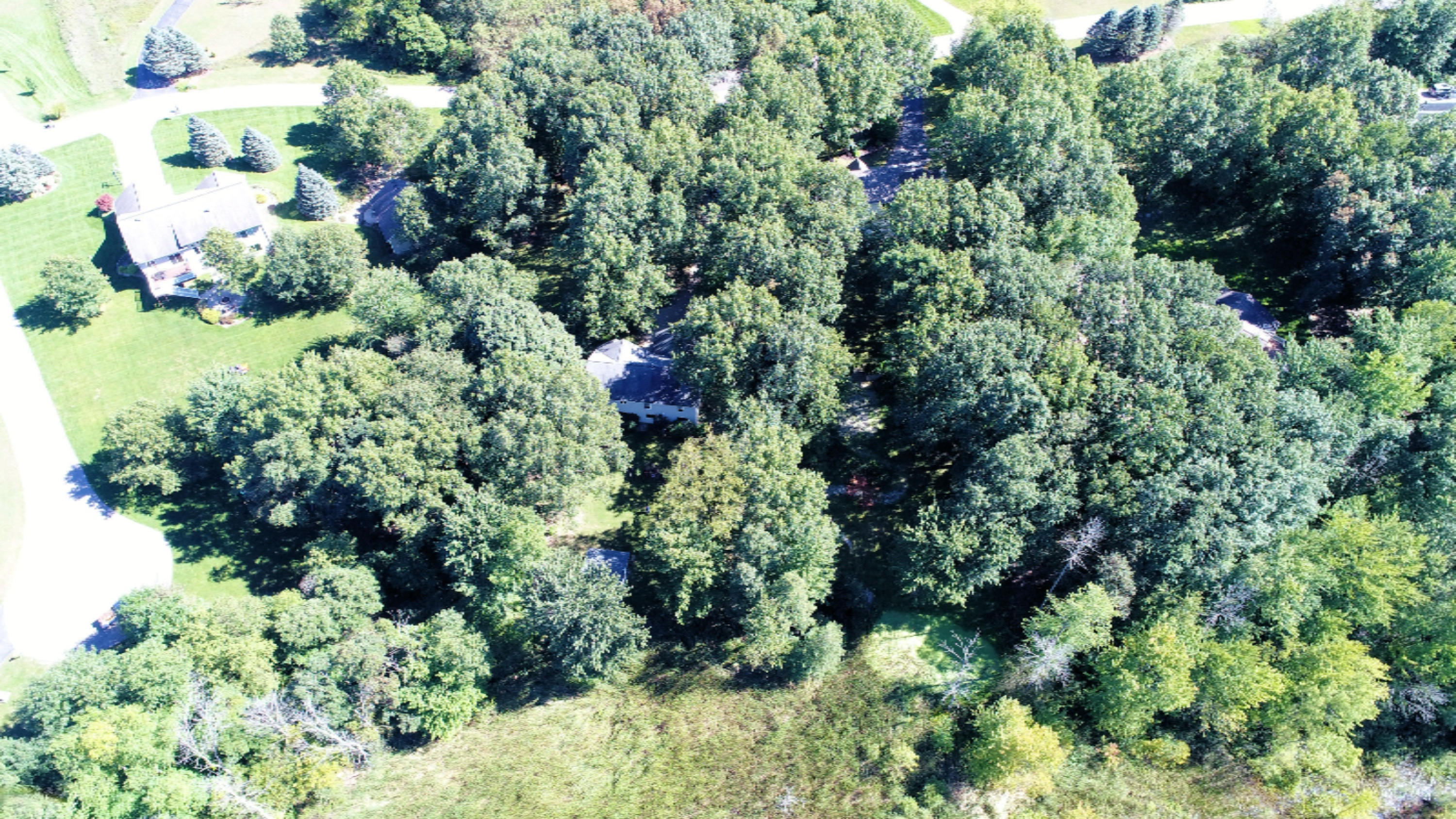 3648 Rabbit River Drive Hamilton, MI 49419 - Photo 15 of 45 DJI_0130