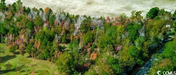 Tbd Spring Garden Road Conway, SC 29527 - Photo 2 of 10 View of property location