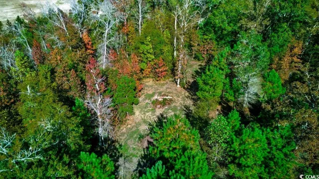 $150,000 | Tbd Spring Garden Road, Conway, SC 29527