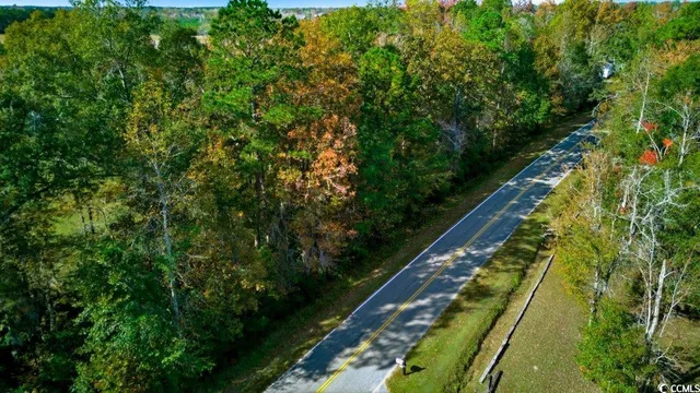 $150,000 | Tbd Spring Garden Road, Conway, SC 29527