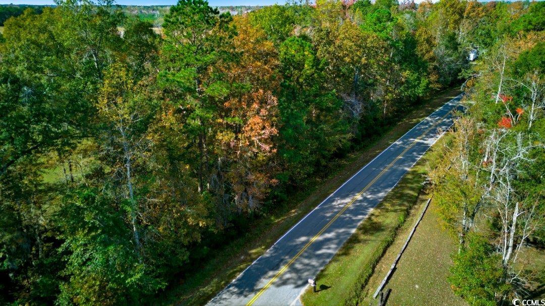 Tbd Spring Garden Road Conway, SC 29527 - Photo 9 of 10 Aerial overview of property's location