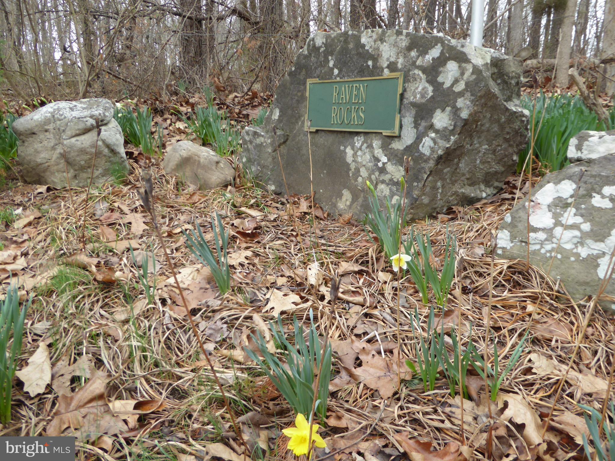 13 Fawn Drive Springfield, WV 26763 - Photo 1 of 20 a view of outside area