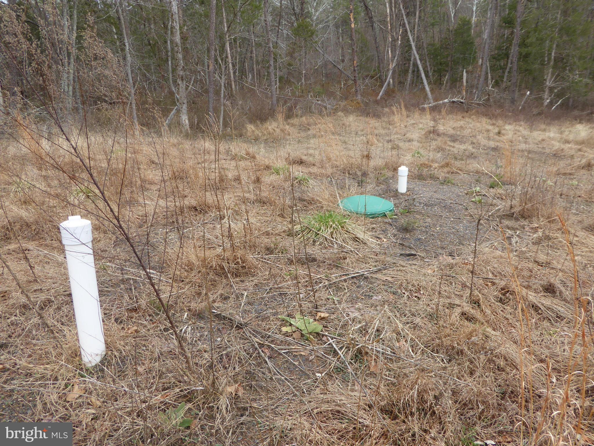 13 Fawn Drive Springfield, WV 26763 - Photo 12 of 20 a close view of shower