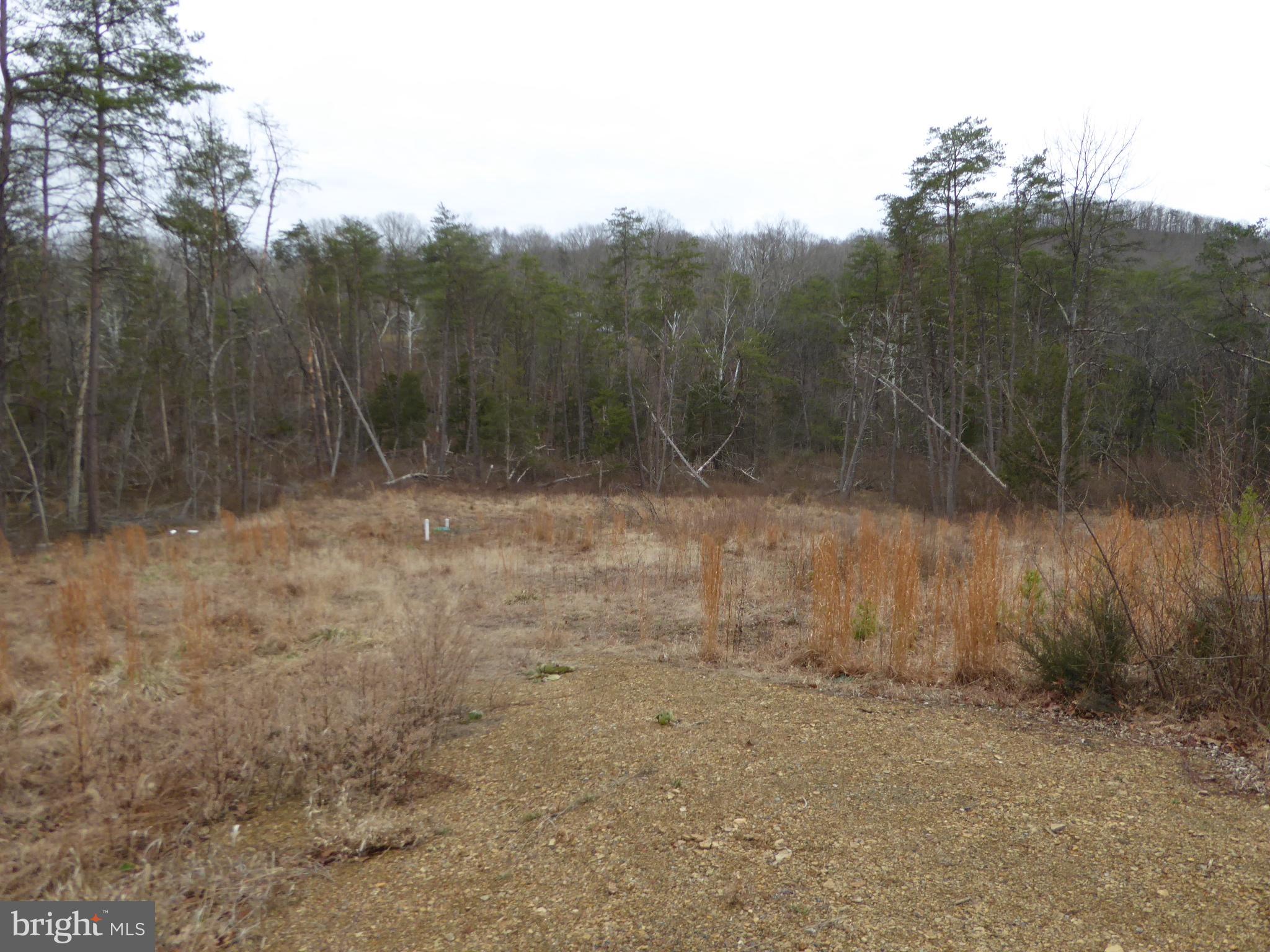 13 Fawn Drive Springfield, WV 26763 - Photo 13 of 20 a view of a dry yard with trees