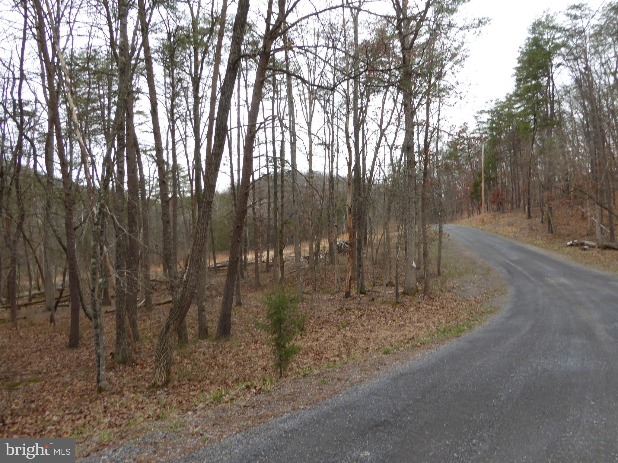 13 Fawn Drive Springfield, WV 26763 - Photo 15 of 20 a view of a yard with large trees