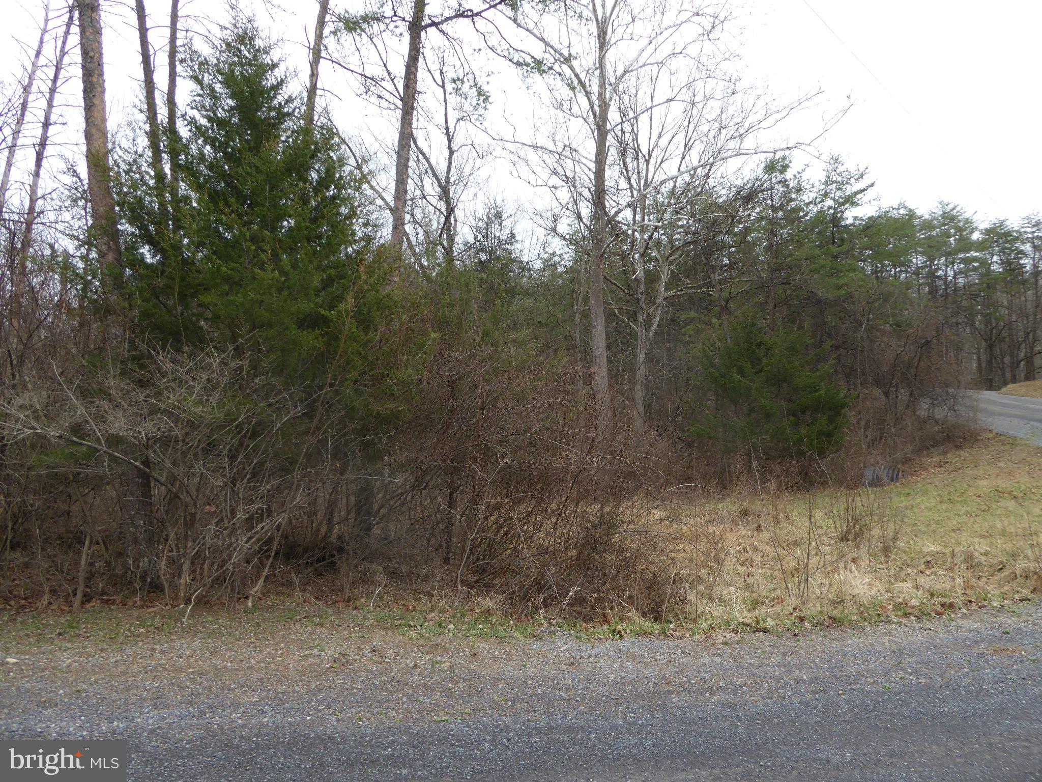 13 Fawn Drive Springfield, WV 26763 - Photo 18 of 20 a view of a dry yard
