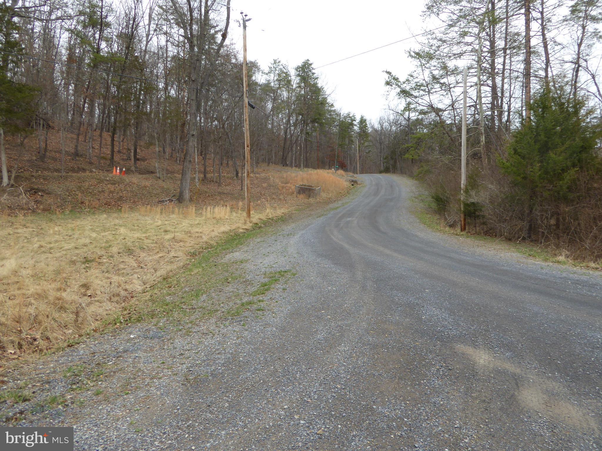 13 Fawn Drive Springfield, WV 26763 - Photo 19 of 20 a view of a forest with trees