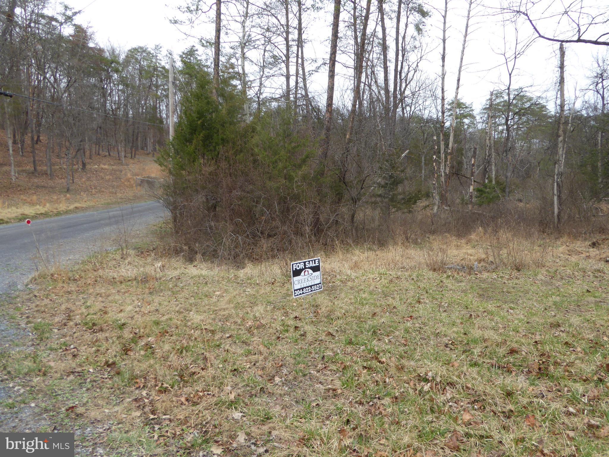 13 Fawn Drive Springfield, WV 26763 - Photo 20 of 20 a backyard of a house with lots of green space