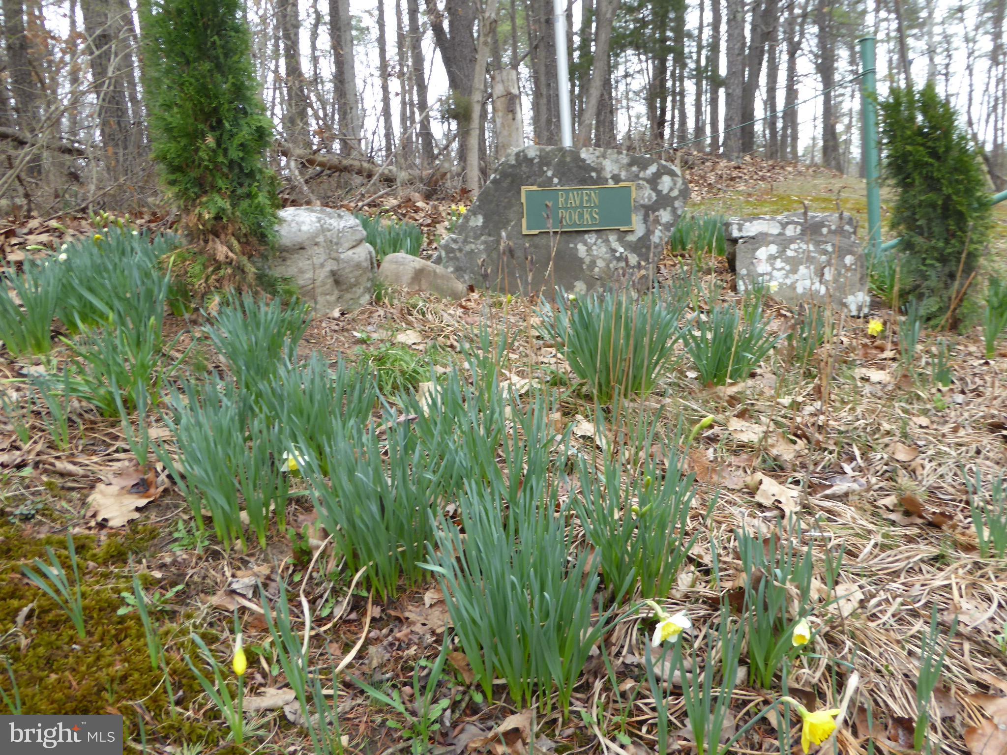13 Fawn Drive Springfield, WV 26763 - Photo 2 of 20 a view of outdoor space and a yard