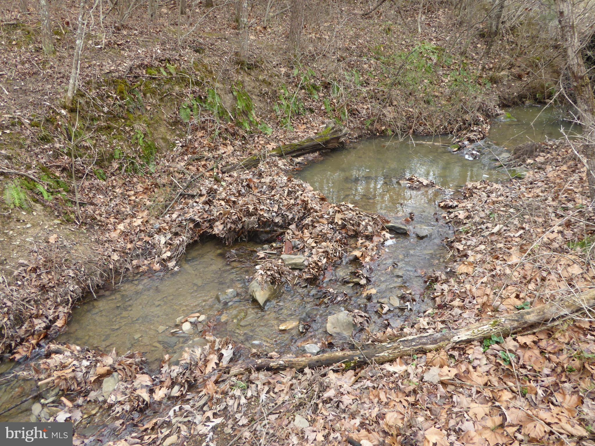13 Fawn Drive Springfield, WV 26763 - Photo 4 of 20 a view of lake with green space