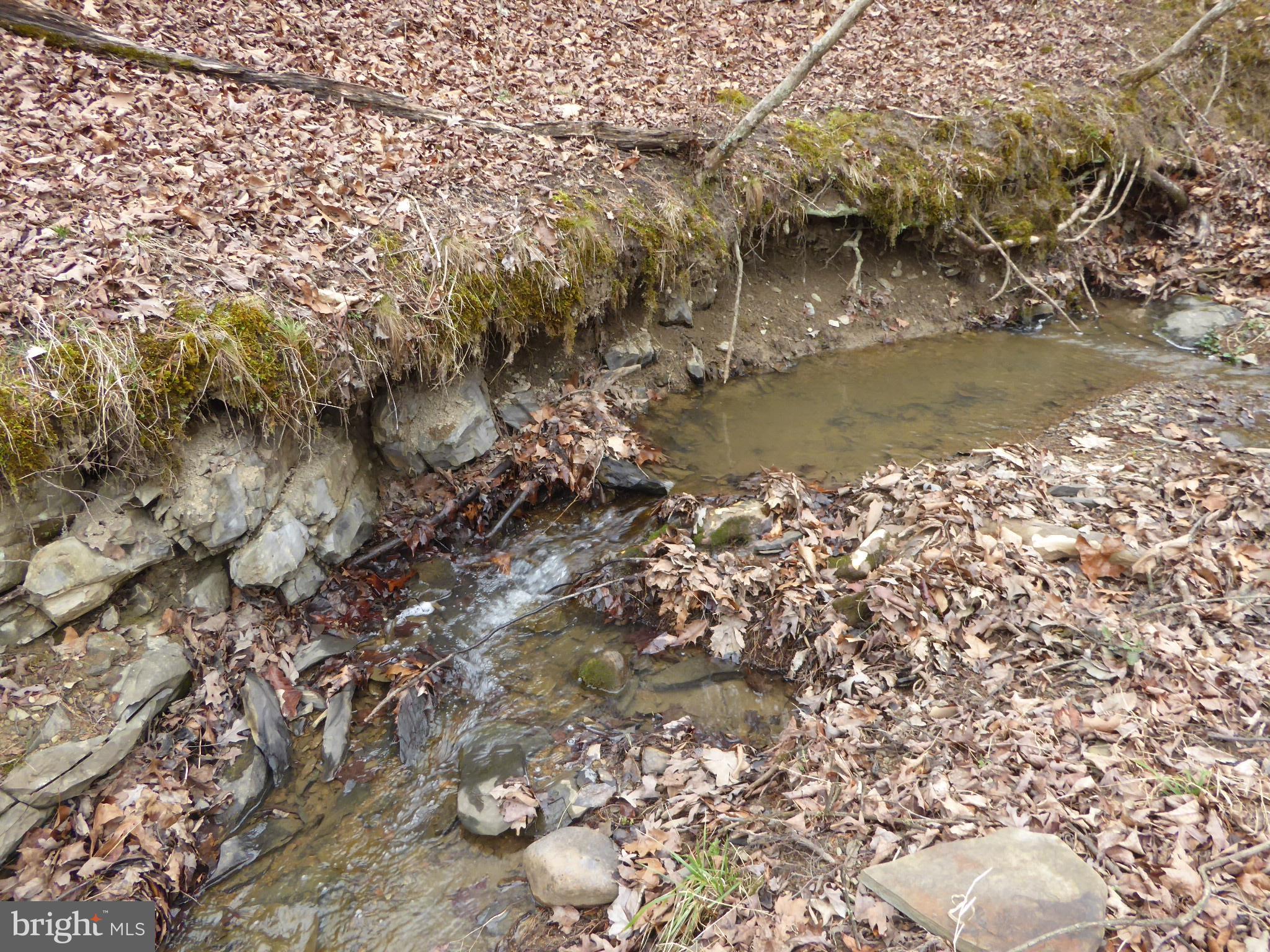13 Fawn Drive Springfield, WV 26763 - Photo 5 of 20 a view of lake with houses