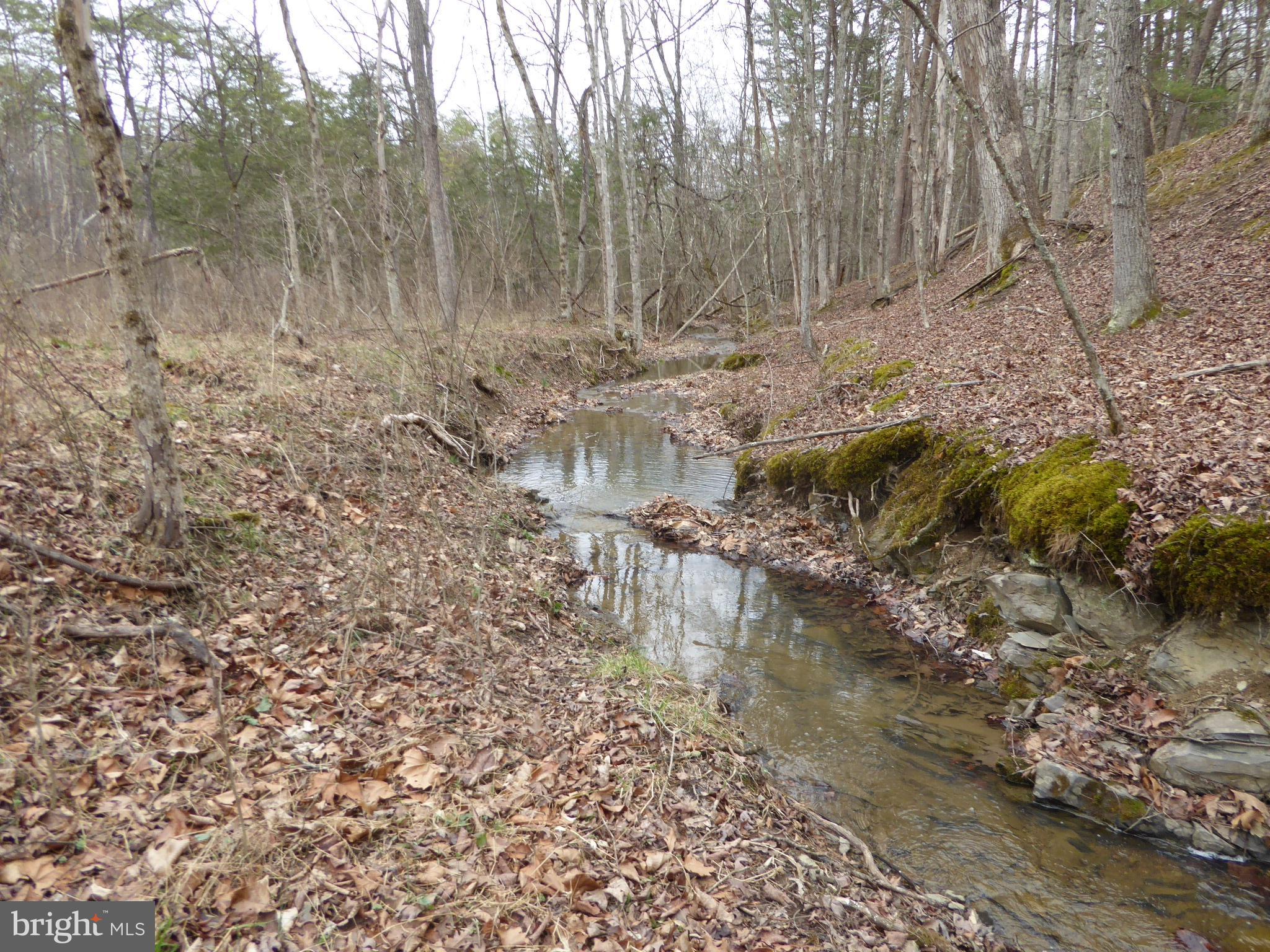 13 Fawn Drive Springfield, WV 26763 - Photo 6 of 20 a view of a yard with large trees