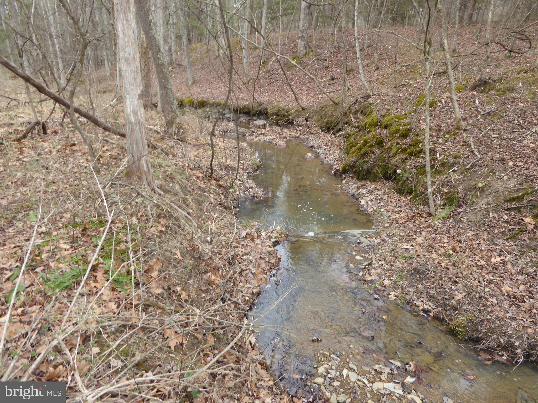 13 Fawn Drive Springfield, WV 26763 - Photo 7 of 20 a view of a yard